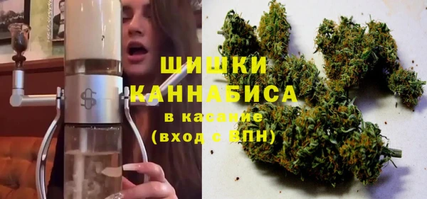 ECSTASY Богородск